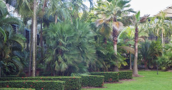 איך להפוך את חצר הבית לאטרקטיבית לכל המשפחה